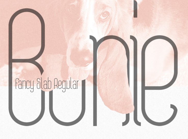 Bonie Free Typeface